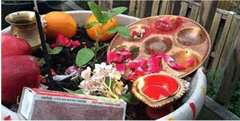 आज हरिशयनी एकादशी पर्व