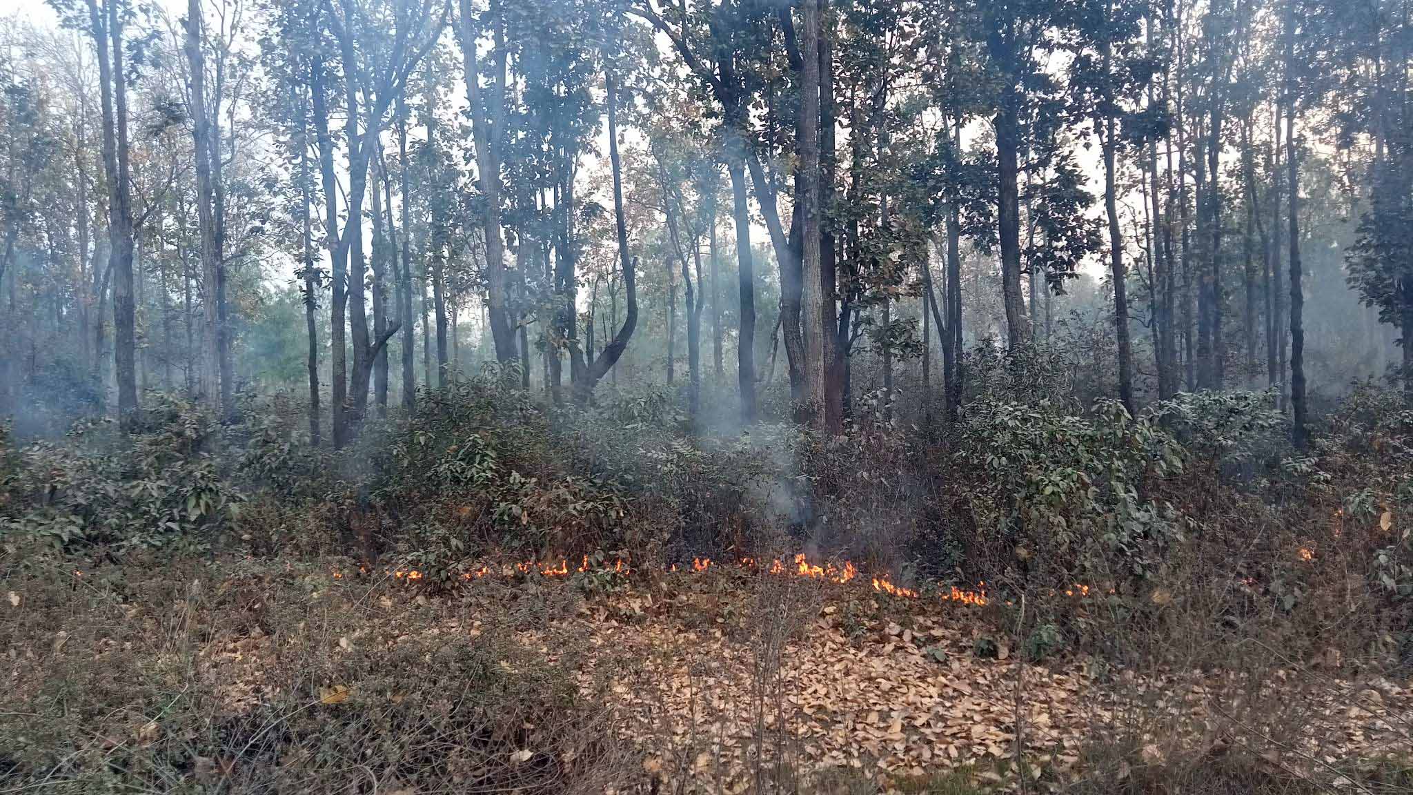अबको जोखिम : आगलागी, डढेलो, हावाहुरी र चट्याङ