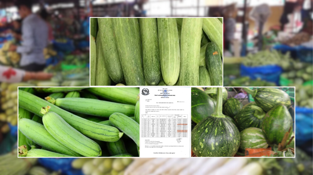 हरियो फर्सी, घिरौंला र काँक्रामा भेटियो अत्यधिक विषादी