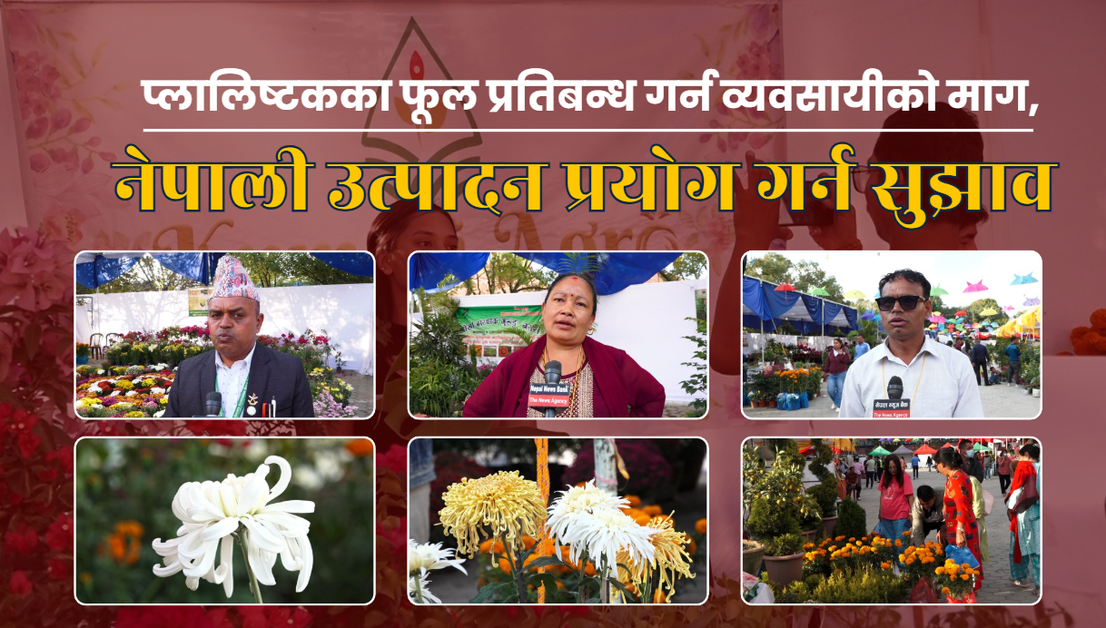 नेपाली उत्पादन प्रयोग गरी  प्लास्टिकका फूल बिक्रीमा प्रतिबन्ध लगाउन व्यवसायीको माग,