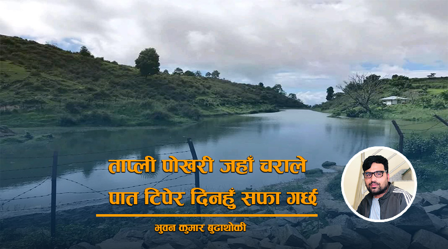 ताप्ली पोखरी जहाँ चराले पात टिपेर दिनहुँ सफा गर्छ