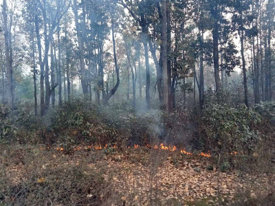 अबको जोखिम : आगलागी, डढेलो, हावाहुरी र चट्याङ