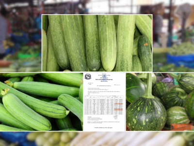 हरियो फर्सी, घिरौंला र काँक्रामा भेटियो अत्यधिक विषादी