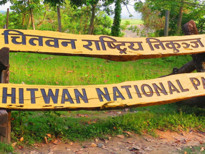गैँडा मारेको आरोपमा पक्राउ