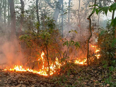 डढेलोले उदयपुरमा तीन सय हेक्टर वनमा क्षति