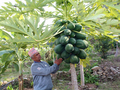 मेवा बेचेर मासिक डेढ लाखआम्दानी
