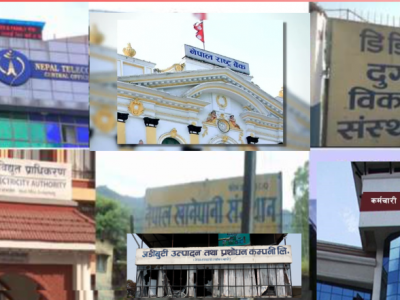 सावर्जनिक संस्थानका कर्मचारीहरुको एउटै बैठकको भत्ता ९ हजार रुपैयाँ सम्म