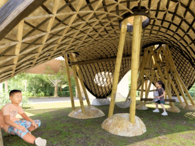 बाँसलाई संरचना निर्माणमा प्रयोग गर्न डिजाइन मार्गदर्शन स्वीकृत