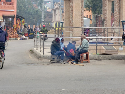 धनुषामा चिसोको प्रभाव : मानिस र पशुधन दुवै प्रभावित