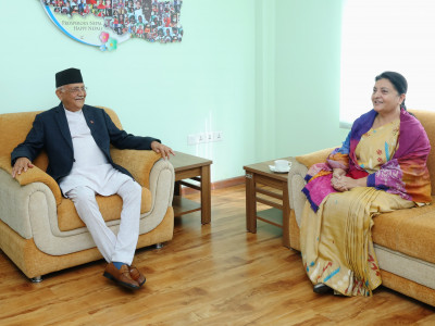एमाले बैठकको निष्कर्ष : पूर्वराष्ट्रपति भण्डारी राजनीतिमा सक्रिय हुन नमिल्ने
