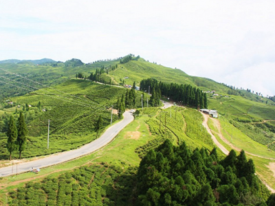 ‘निसान पदमार्ग’ पुस २३ देखि २६ गतेसम्म हुँदै