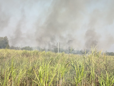 सर्लाहीको उखु खेतीमा भीषण आगलागी
