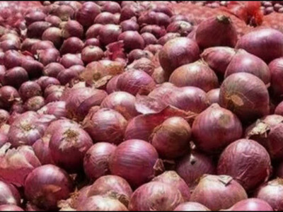भारतीय बजारमा प्याजको भाउ बढ्यो, नेपालमा पनि उकालो लाग्दै