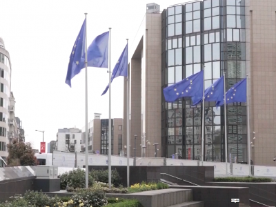 ट्रम्प र जेलेन्स्की बिच ह्वाइट हाउसमा द्विपक्षीय भेटवार्ता