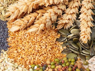 आज विश्व खाद्य दिवस मनाइँदै