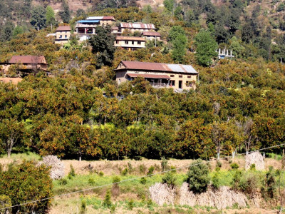 कृषि र पर्यटन जोड्ने ‘सुन्तला–हाइकिङ’ काभ्रेपलाञ्चोकमा पुन: सुरु