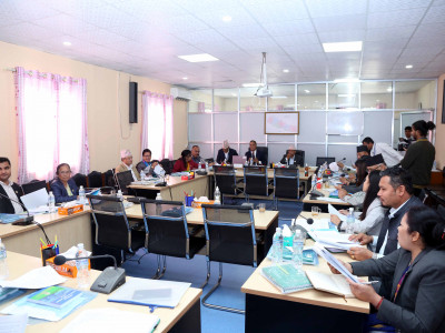 संघीय संसद अन्तर्गत दुईवटा समितिको बैठक बस्दै