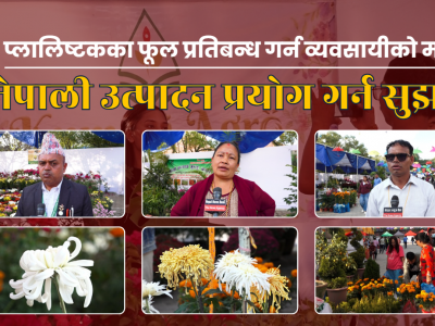 नेपाली उत्पादन प्रयोग गरी  प्लास्टिकका फूल बिक्रीमा प्रतिबन्ध लगाउन व्यवसायीको माग,