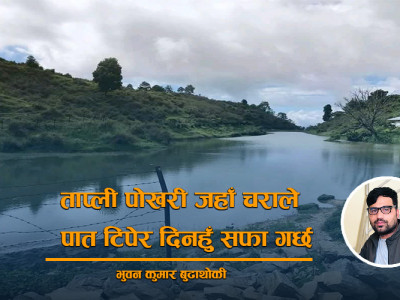 ताप्ली पोखरी जहाँ चराले पात टिपेर दिनहुँ सफा गर्छ